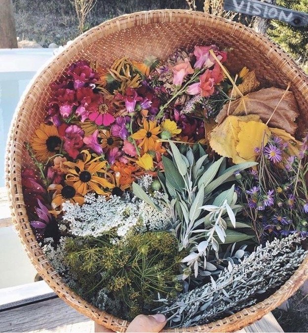 discover the essence